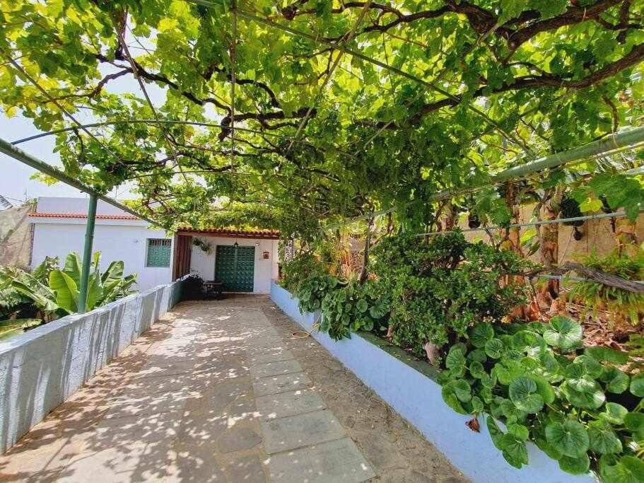 Finca Interian Лос-Силос Экстерьер фото